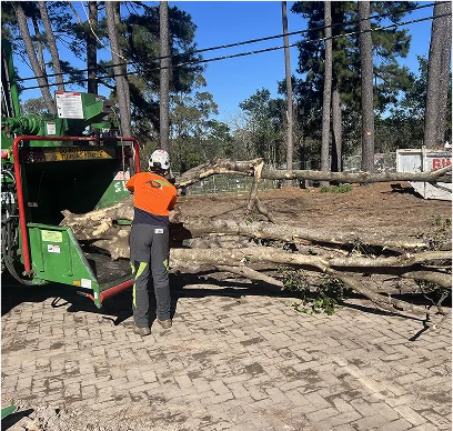 img_new_version_gallery